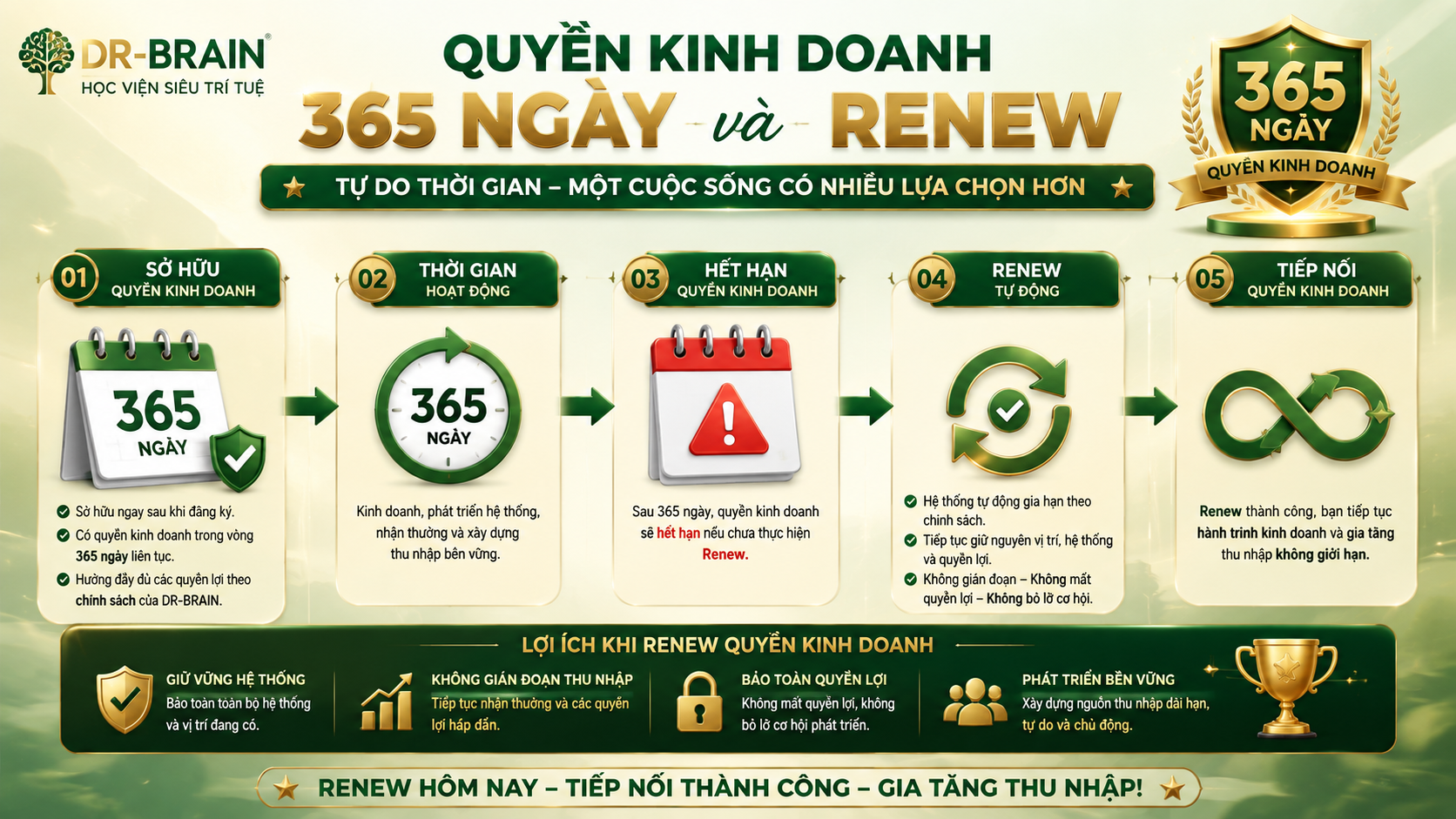 Chính sách kinh doanh DR-BRAIN